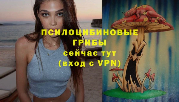 герыч Аркадак